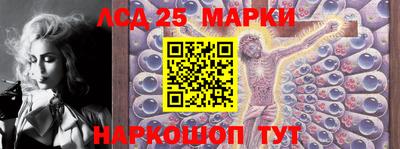 ГАЛЛЮЦИНОГЕННЫЕ ГРИБЫ Шебекино