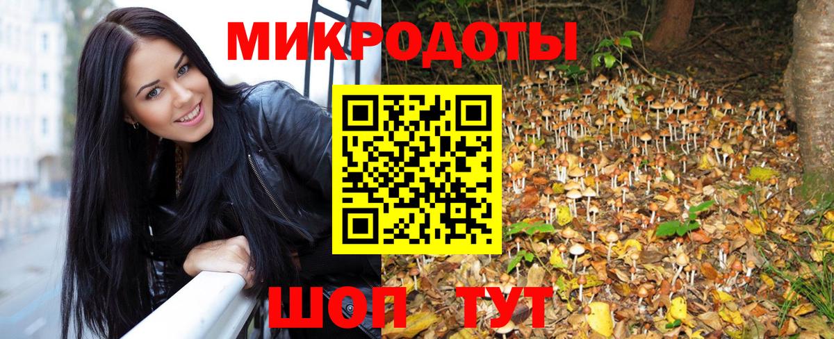 Галлюциногенные грибы MAGIC MUSHROOMS Выборг