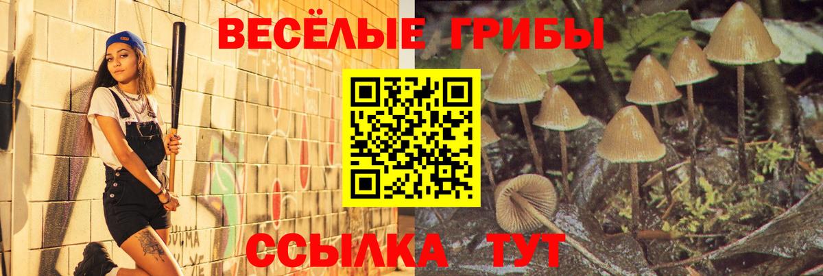 Галлюциногенные грибы мухоморы  Вход с VPN  Выборг 