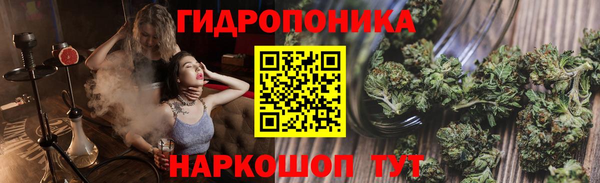 Каннабис сатива Выборг